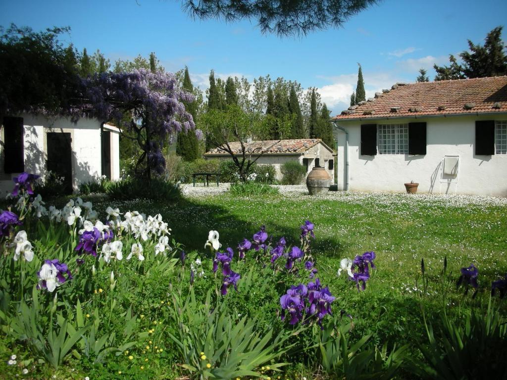Vignagrande Agriturismo Saturnia Szoba fotó